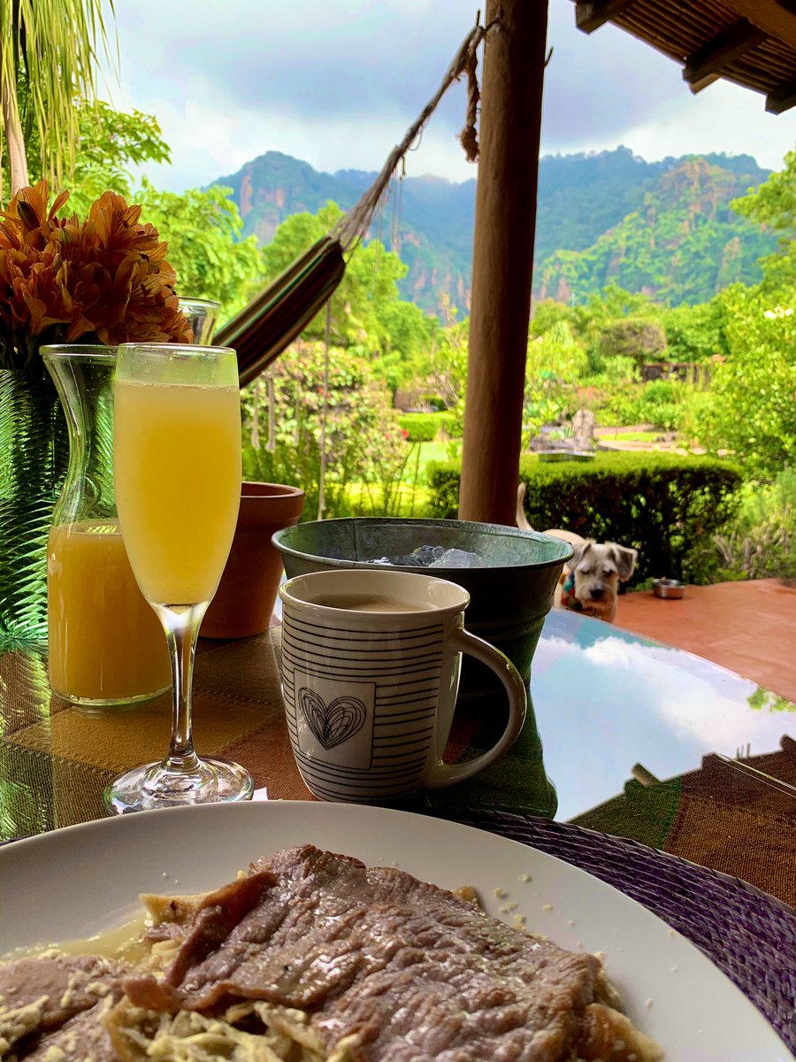 Buenísimos días 🤩🥂☕️🍾 #brunch #vallemístico #tepozteco #tepotzotlán #morelos #thisisméxico #VisitMexico