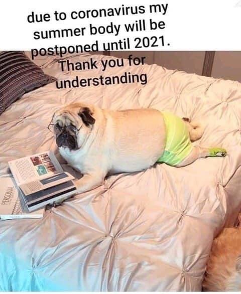 #Summer2020 #bodygoals
#Corona #coronavirus #COVID #covid19 #COVIDー19 #CoronaVirusitaly #covid19italy #COVID2019 #CoronaOutbreak #SARSCoV2 #CoronaPanik #Covid_19 #COVID2019italia #CONVID19 #CoronaVirusUpdate 
follow for more <a href="/memesofcorona/">Memesofcorona</a>
