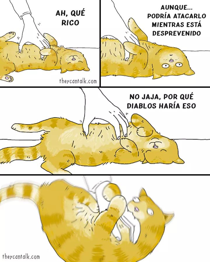 🎄Gatitos que curan tu depresión 🎄 (@gatitos_qctd) on Twitter photo  🎄Gatitos que curan tu depresión 🎄 (@gatitos_qctd) on Twitter photo