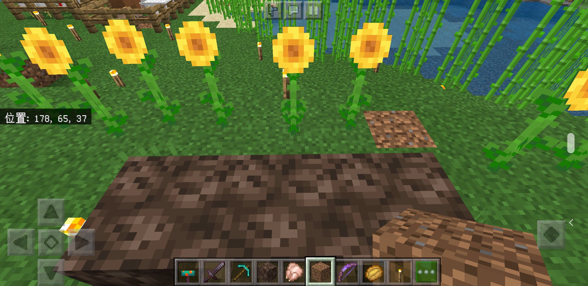 ちゃぼ ゝw B ヒマワリは常に東向き だけどｿｳﾙｻﾝﾄﾞの２つ頭は常に西側に有る ﾈｻﾞｰでの方角知るのに便利 ﾌｫｸﾞﾘﾝをｵｰﾊﾞｰﾜｰﾙﾄﾞに連れて来て ｱｰﾏｰｽﾀﾝﾄﾞ 防具立て でｿﾞｸﾞﾘﾝﾎｲﾎｲ 儀式感w Minecraft ﾏｲｸﾗ ｿﾞｸﾞﾘﾝ ｿｳﾙｻﾝﾄﾞで方角を知る 裏ワザ T