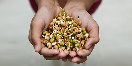 1BalanceLiving's tweet photo. Choosing the right protein source could lower mortality risk. Plant protein has proven to lower risks of developing diabetes, heart disease, and stroke when compared to animal protein. https://t.co/pXIgXlrdtx Increase intake of peas, beans, lentils, whole grains, and nuts. https://t.co/bSvguLjRv0