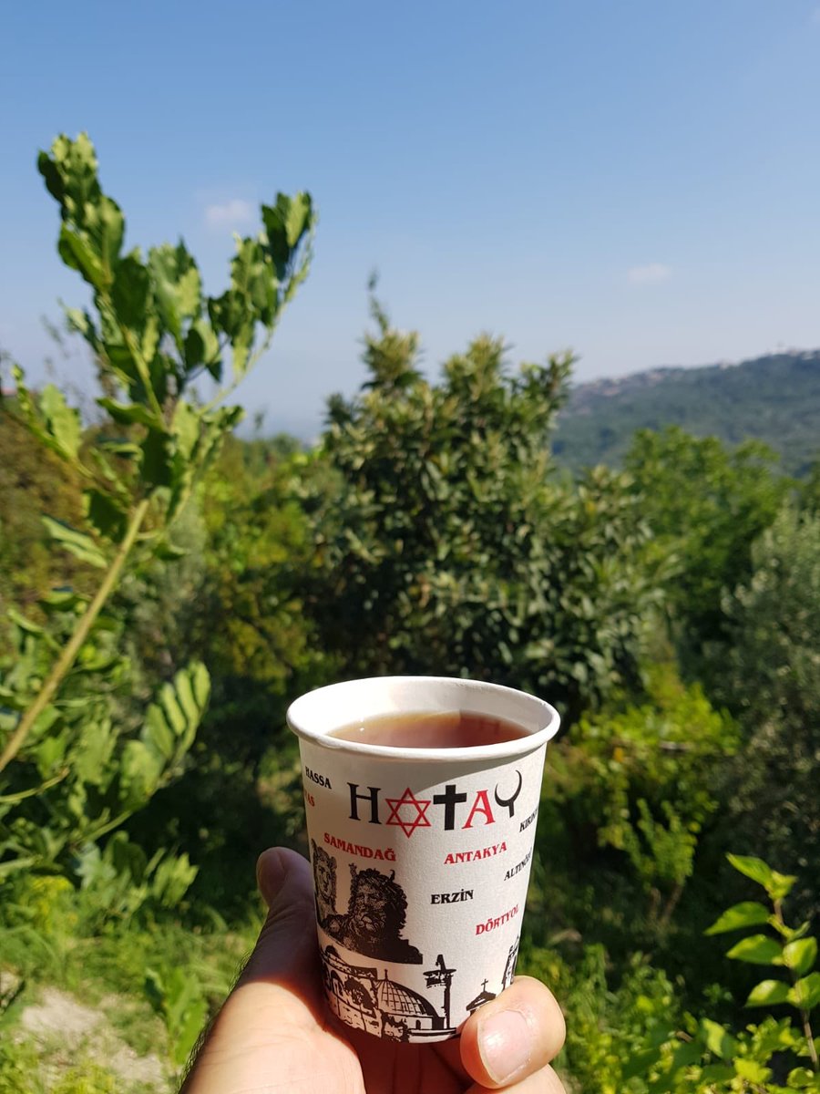 Huzurlu şehrimizde çayı huzurla içmek 💚
📸 <a href="/HasanTolu/">Hasan Tolu</a>