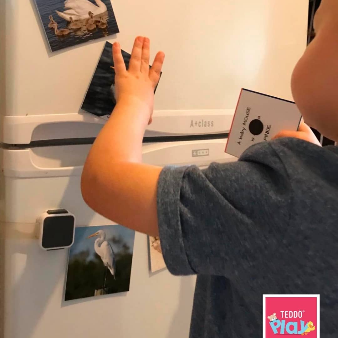 TeddoPlay's tweet photo. @TheoPaphitis Hi @TheoPaphitis, hope to join the #SBS community this week with our play-based educational learning sets for children and also be able to support more children through our charitable initiatives with @RoomtoRead https://t.co/mWYeOKXWp4
#cutscreentime #madeintheuk #SmallBusiness https://t.co/Pq3bxXUALs