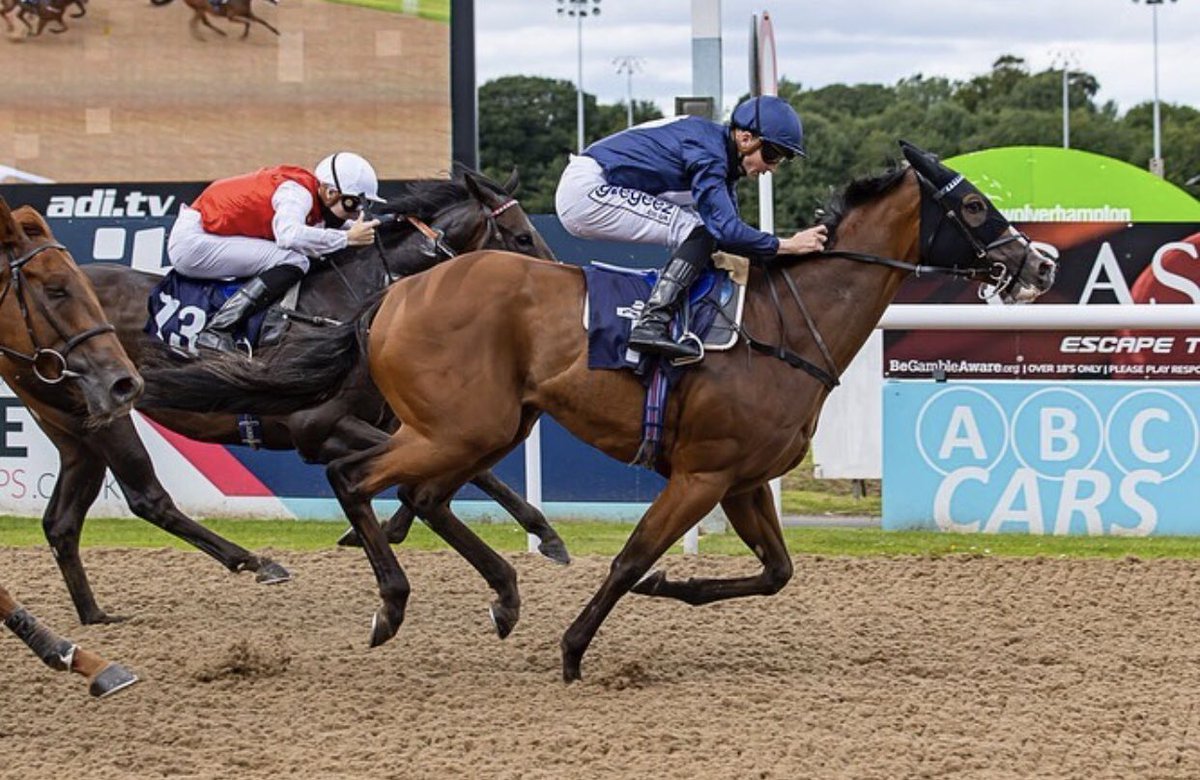 Hurworth Bloodstock (@hurworthbstock) on Twitter photo ABSOLUTIO makes it 3 out of 4 winning purchases from the <a href="/Tattersalls1766/">Tattersalls</a> 2019 HIT Sale with <a href="/gbougheyracing/">George Boughey Racing</a>. Very well done to George and his team, and a great ride from <a href="/davidprobert9/">David probert</a> ABSOLUTIO makes it 3 out of 4 winning purchases from the <a href="/Tattersalls1766/">Tattersalls</a> 2019 HIT Sale with <a href="/gbougheyracing/">George Boughey Racing</a>. Very well done to George and his team, and a great ride from <a href="/davidprobert9/">David probert</a>