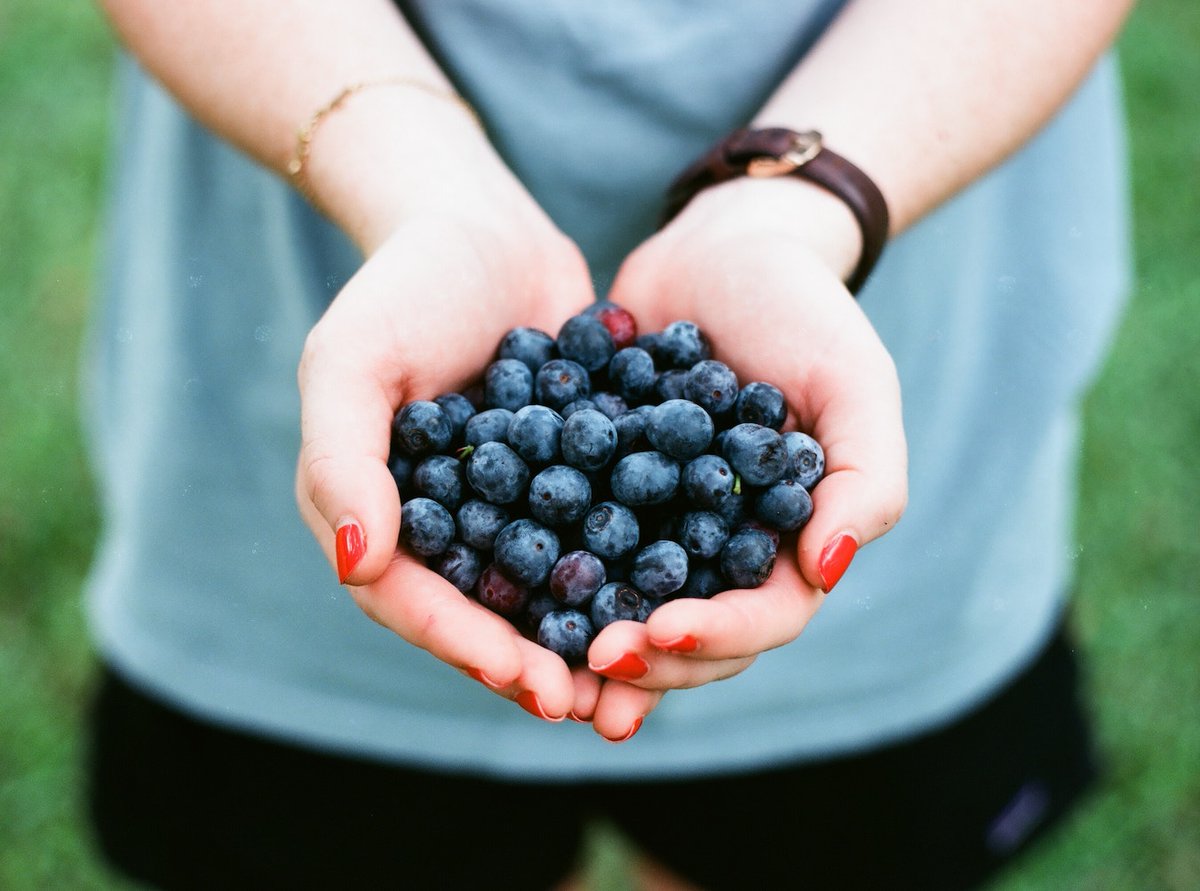 AllFitEvents's tweet image. Adopting a #seasondiet can be a challenge when imported🍓 &amp;amp;🥒 are available year-round. Don't worry: you don't need to eschew all of your favorite imported foods (aka coffee!☕️). A modest transition to #local &amp;amp; #seasonal foods has a positive impact on the #planet. #eatlocal