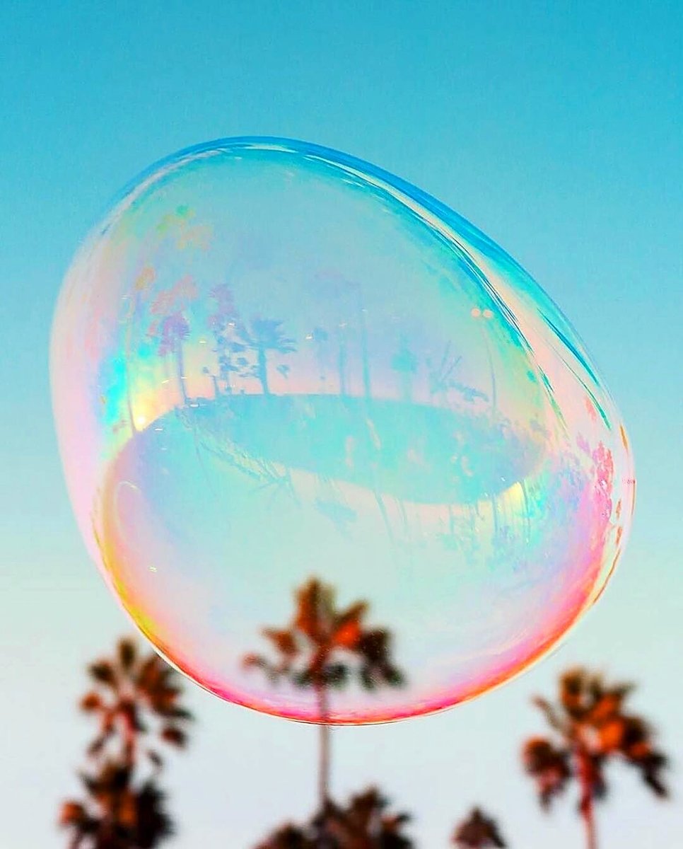 ⛱️ Domingo de ZERO gravitación
¡Síguenos para más noticias y tendencias de visual merchandising!
Foto  @chriscreature 
🔴 Nuestra web soo.nr/I5rF mándanos un correo a ⁣informacion@artidi.com o contáctanos al WhatsApp +34 696 560 970 📞 #design #photo #windowdressing