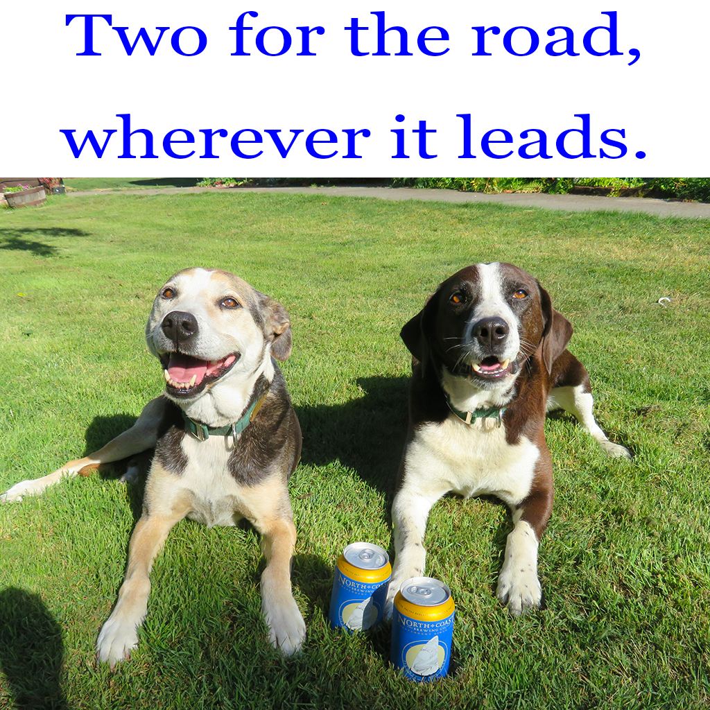 NoCoastBrewCo's tweet photo. How could you deny these faces? Arkie and Bert want adventure (even if only in their own backyard) and they even have picked the right beer to go adventuring - Scrimshaw!
#scrimshawpilsner #scrimshaw #besafe #NCBCoutside #packitinpackitout #brewdogs #beerdogs #dontforgetthebeer https://t.co/NXdT5oRXdK