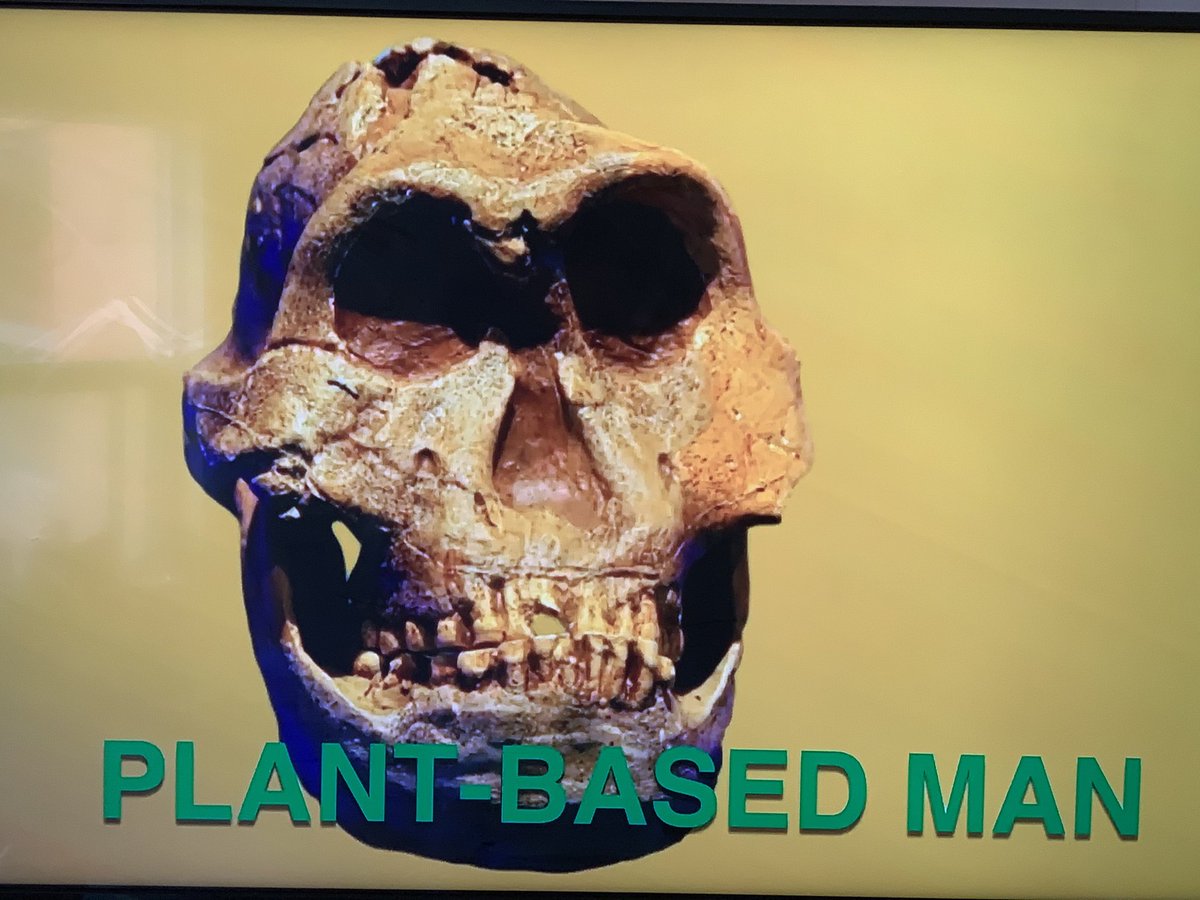 keto_lion's tweet photo. This particular ancient ancestor tried the plant approach millions of years ago and that branch died off. And here we are ready to try it again, when will we ever learn.. #meateater #meatheals #Carnivore #worldcarnivoretribe #ketogenic #oftak https://t.co/zBKAd0k5Wj