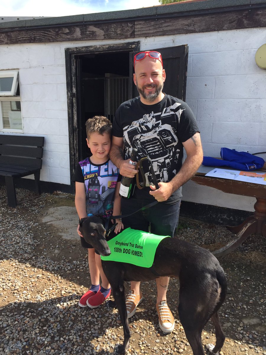 DuntonGreyhound's tweet photo. It was Super Sunday down at the kennels today where Coco became our 100th dog homed this year! We wish him and his new family a very happy life together. https://t.co/kZVb7wdFtT