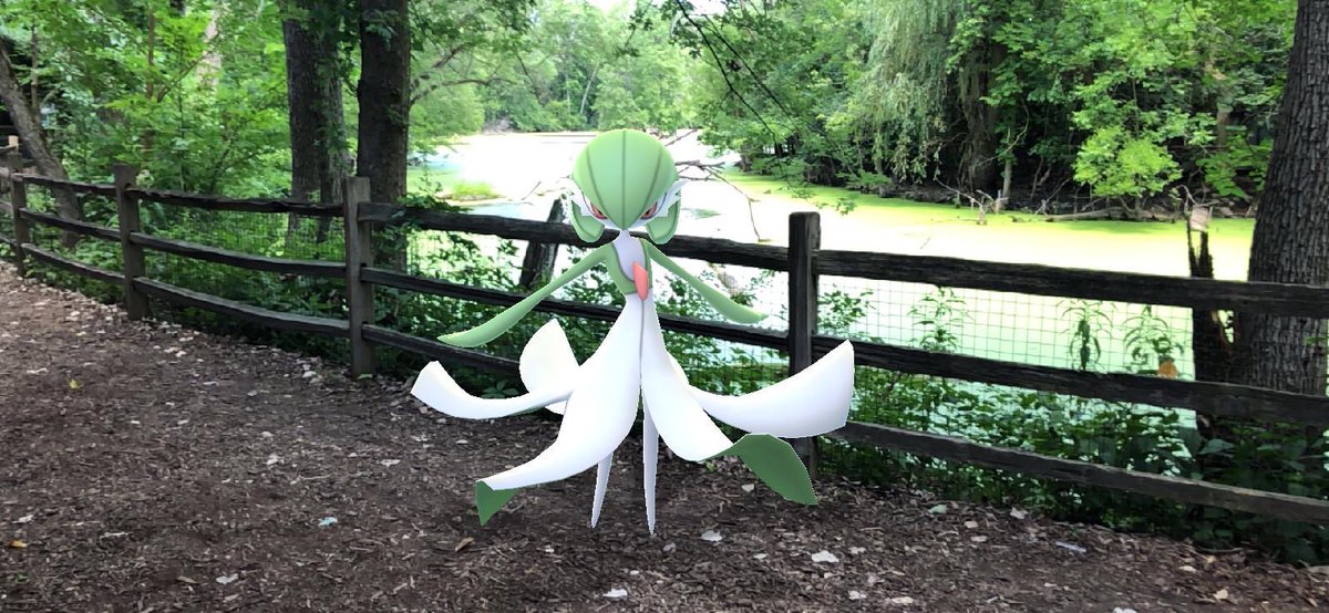 LostStar383's tweet photo. Having fun with #PokemonGOFest2020 https://t.co/J3LSXQWS56