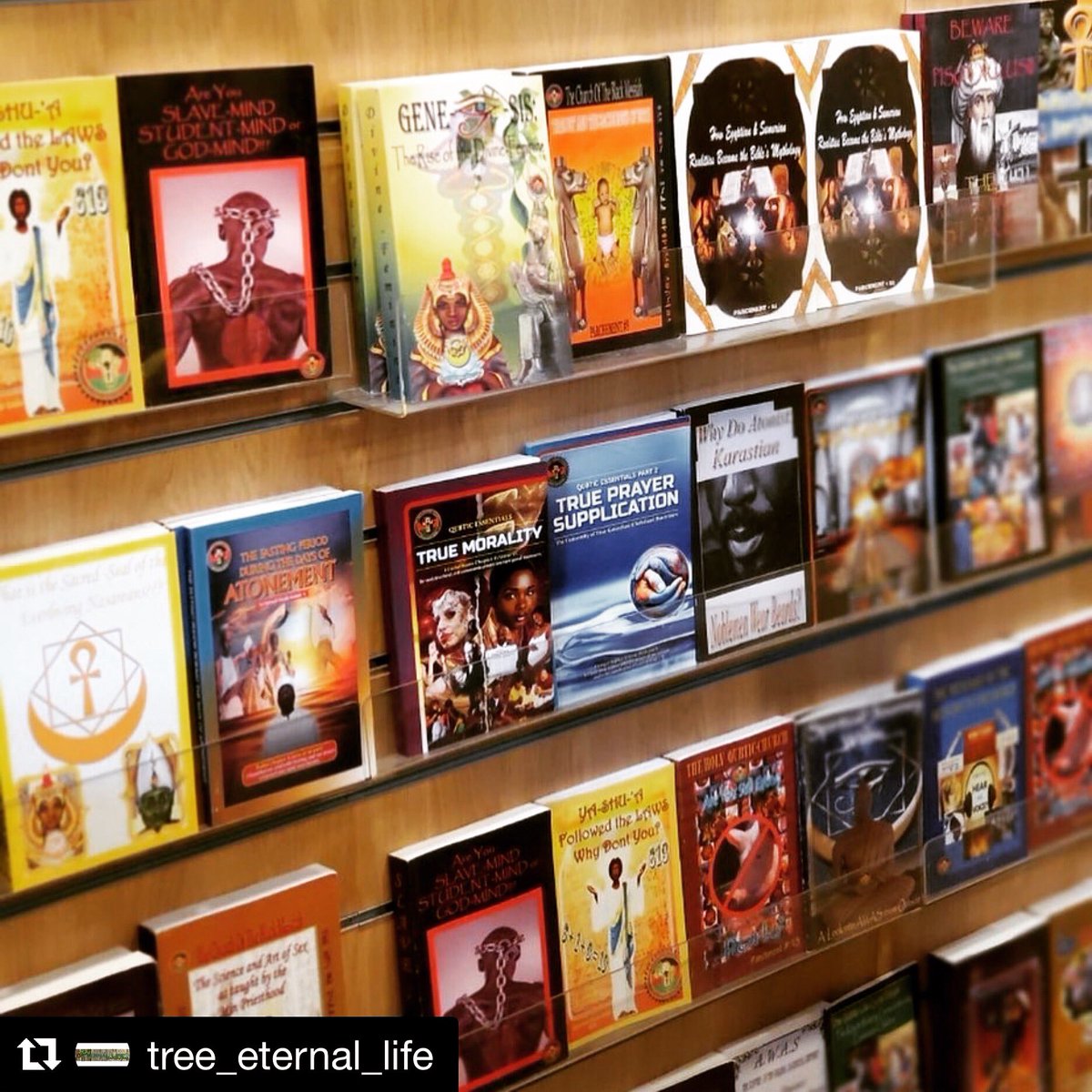 #Repost @tree_eternal_life
・・・
From the Holy Qubtic Church we have ALL the books for purchase! #atonism #atonisrising #atonists #africanscriptures #africanreligion #africanbooks #africanbookstore #SupportBlackBusiness