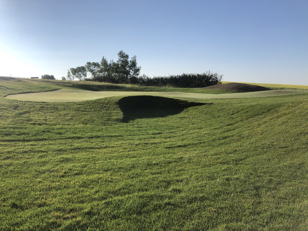 It was great to grow in the final two greens at Rosetown Golf Club! Sun up till sun down!! Our results were very satisfying!! The work by ⁦<a href="/DormerDesigns/">Trevor Dormer</a>⁩ on these two holes is pure artistry!#smalltowncommunitygolf#OldWorldGolfCompany