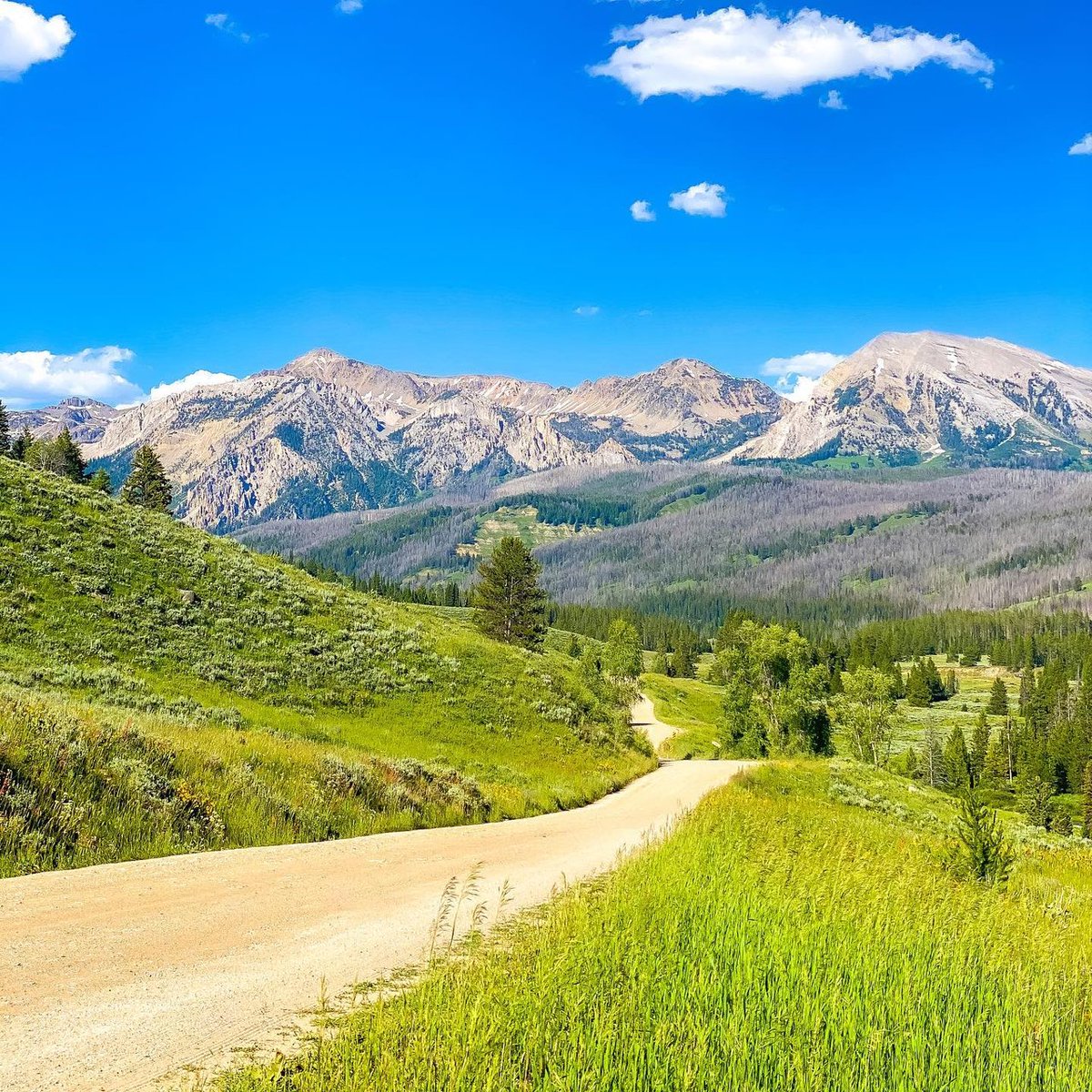 Travel Wyoming tweet media