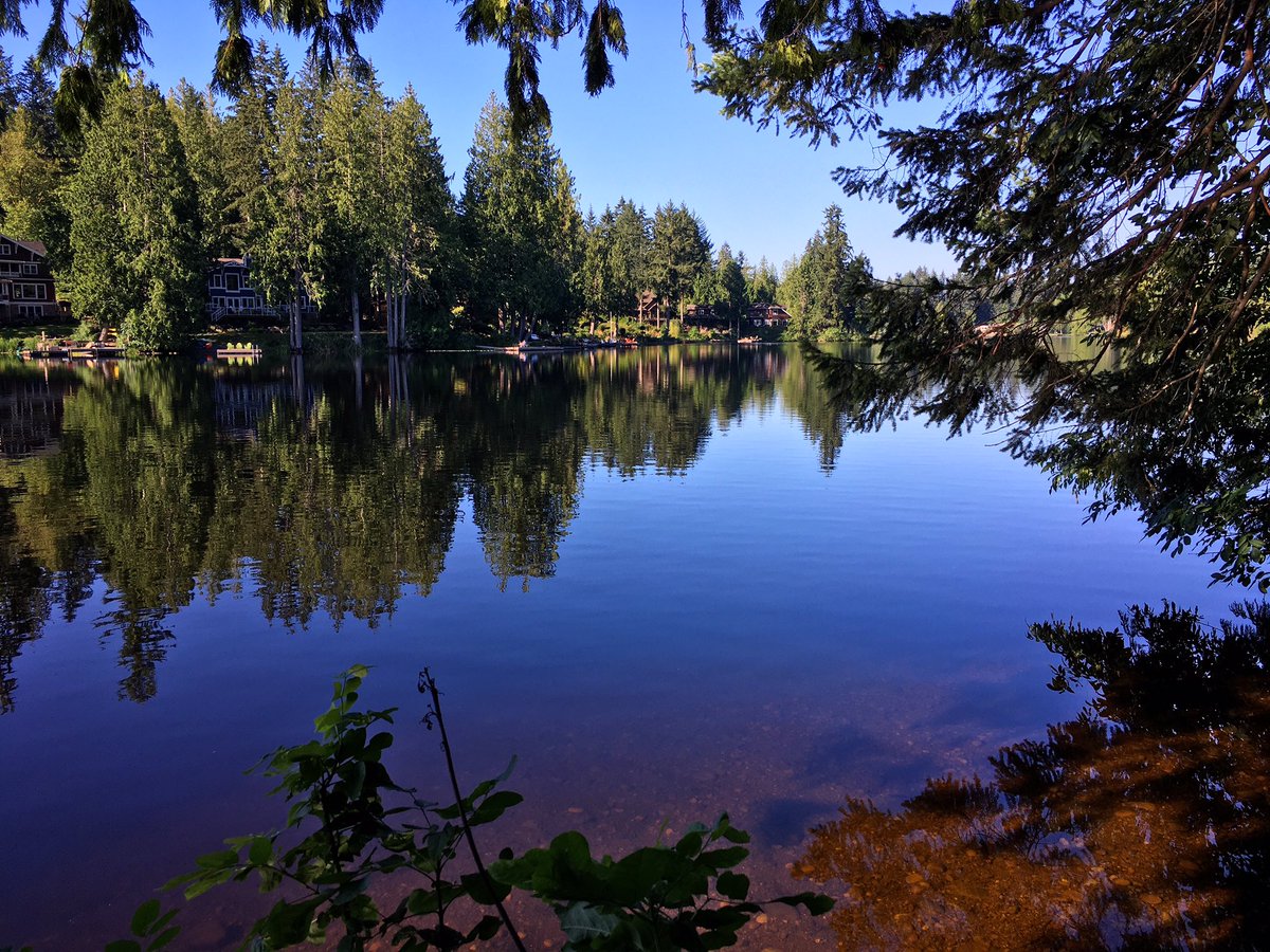 Morning hike through Hazel Wolf Wetlands.  #sammamish