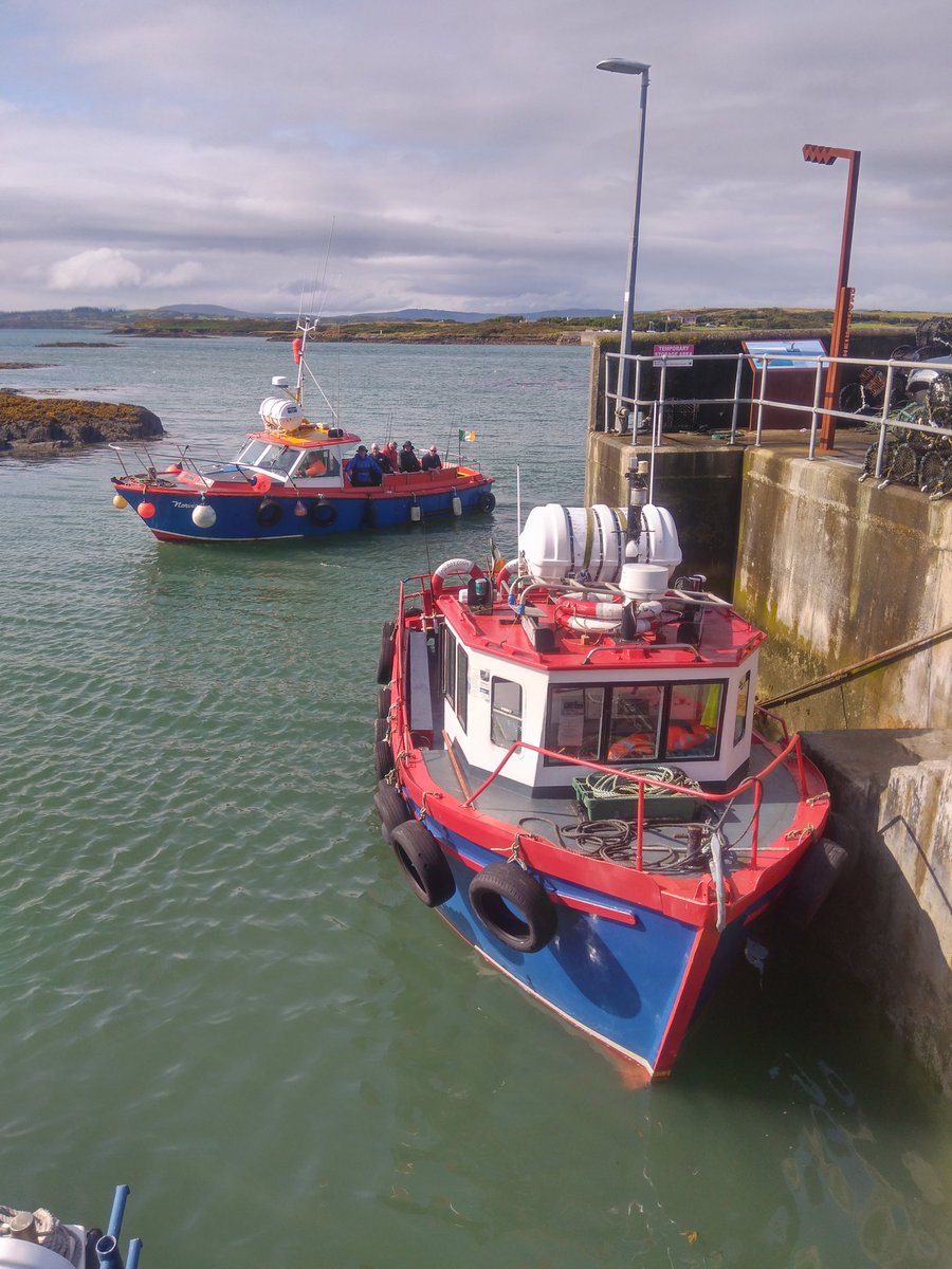 HareIsland's tweet photo. Thank you for choosing to Travel with #HeirIslandFerries๐ on our #heirisland & #sherkin route from #Cunnamore
โด๏ธ
Please contact
086 888 7799 for further details on all sailings
#wildatlanticway #skibbereen #purecork #eucoolroute #cork #westcorkislands #island #familyrunbusiness https://t.co/aHuCryODGn