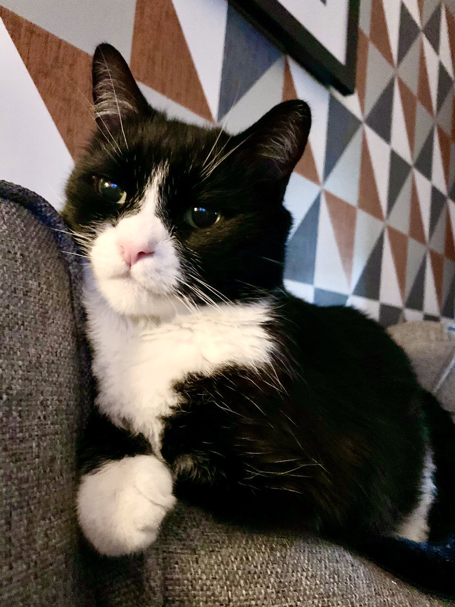 andrewkeates's tweet photo. Poser.

#TobyPage https://t.co/Cuux4CGBBv