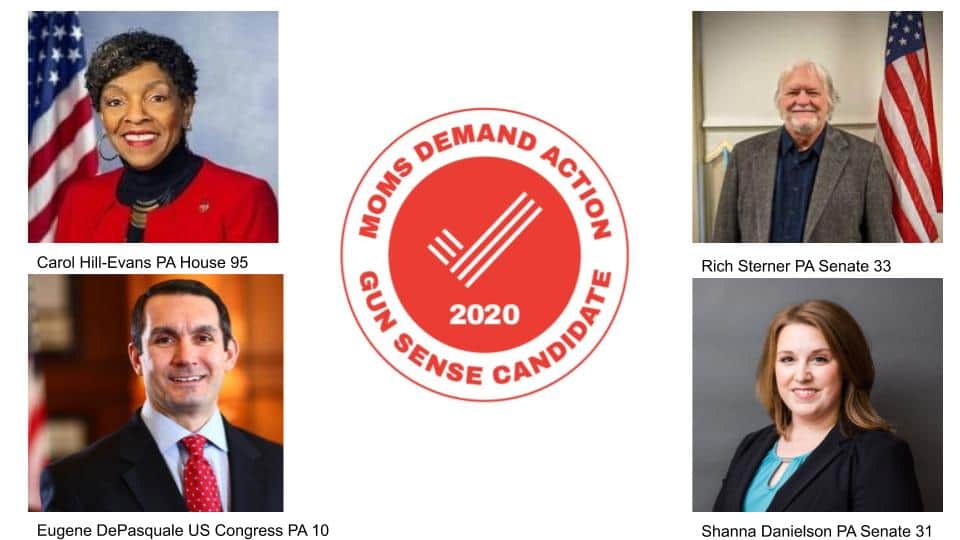Congratulations to our Gun Sense Candidates! Please consider volunteering and donating to their campaigns!