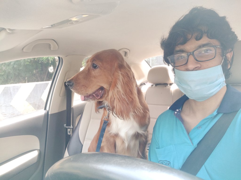 When he decides to be the navigator.. #Dog #newroles #driving #dogcompanion