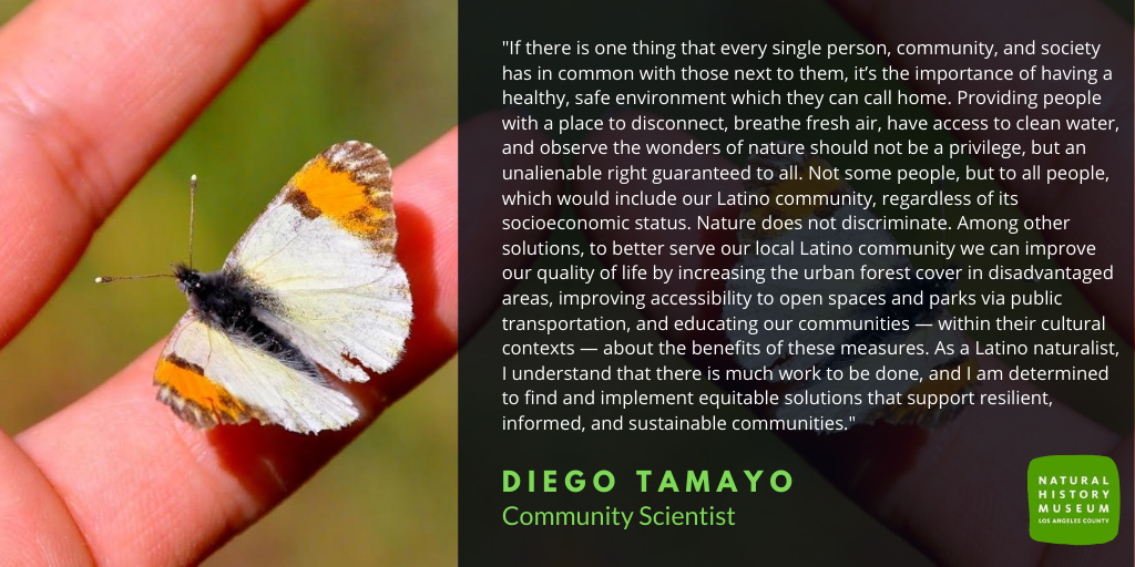 In celebration of #LatinoConservationWeek, we want to feature some Latino/a/x Community Scientists who are vital to the success of our programs at @NHMLA. Today we are introducing you to Diego Tamayo, and sharing his thoughts on conservation and community science.
#LCW2020