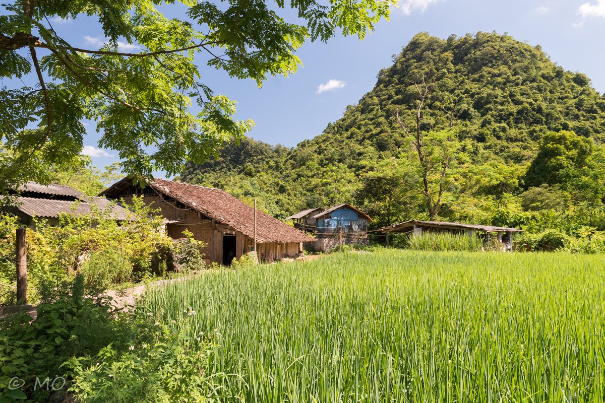alysinix's tweet photo. Mau Son province, Vietnam 2017. More on my website. #vietnam #travel #lonelyplanet #smugmug #500px #landscape #culture https://t.co/JOiju7xiPX