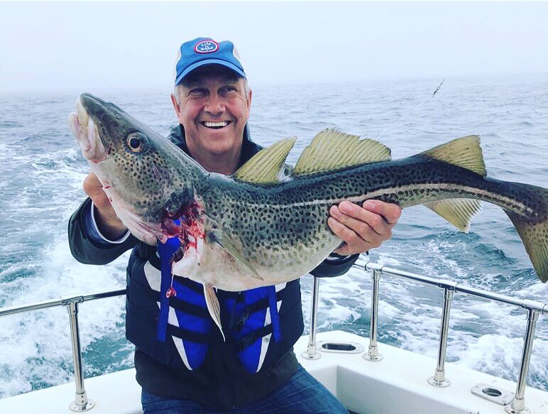 OZFM - The Rock of the Rock tweet media