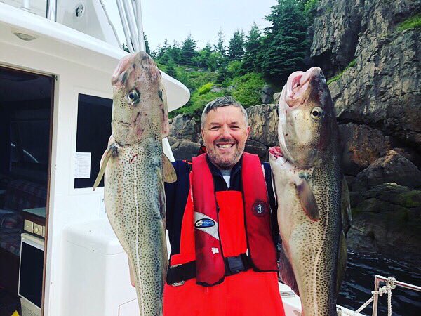 OZFM - The Rock of the Rock tweet media