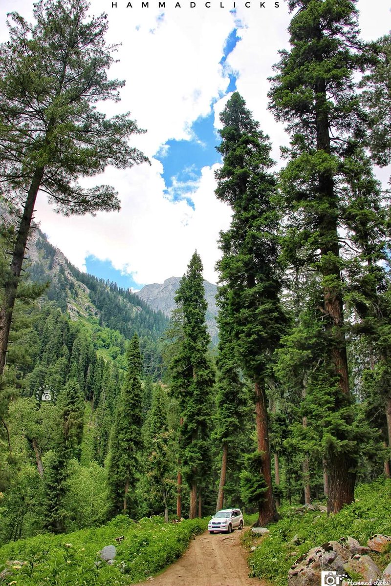 #BuildDirChitralMotorway