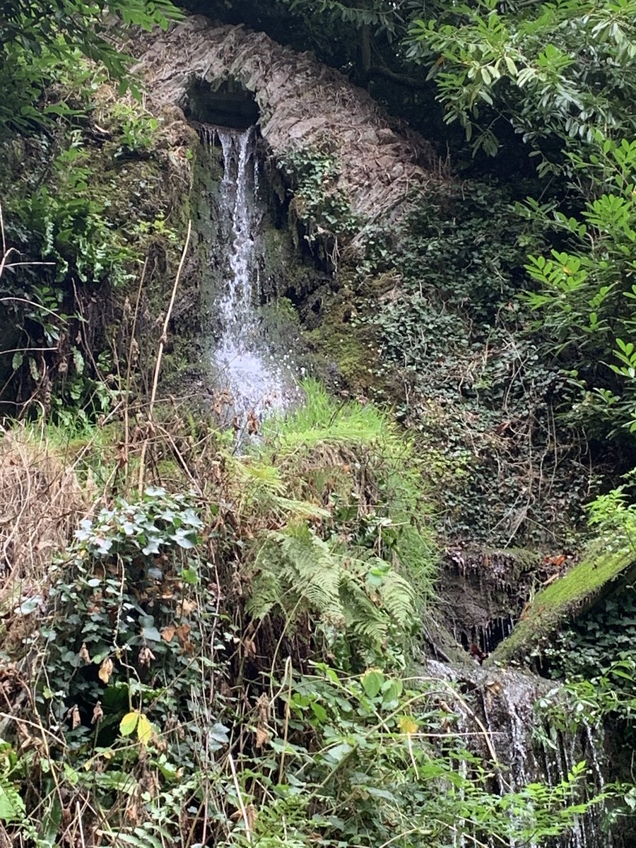 CaritasCharles's tweet photo. Great day out @HestercombeGdns well worth a visit #swculture #nature https://t.co/XHWIgjx7Cb