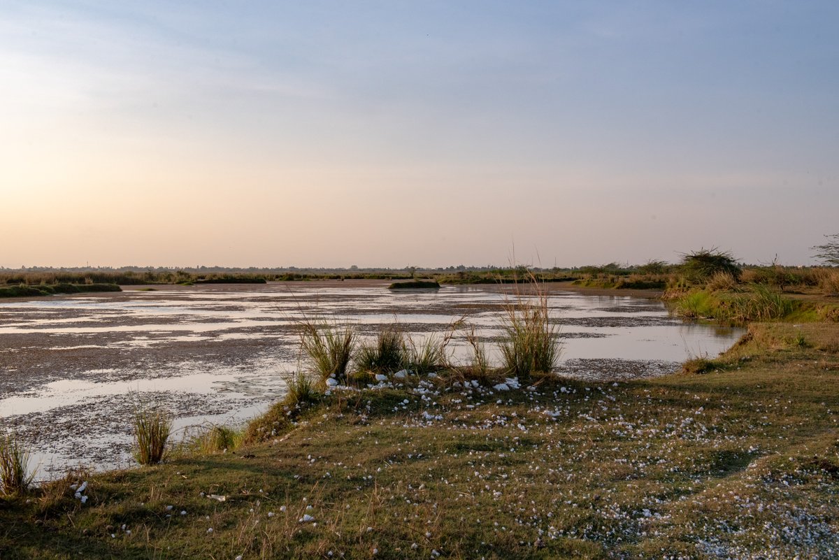 Cooum lake again