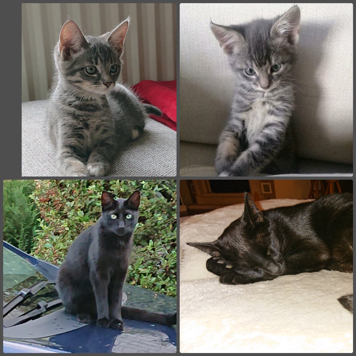 Dag2/7 #mylifeinpictures genomineerd door <a href="/RobWitjes/">Rob Witjes</a>. 
<a href="/JudithGieben68/">Judith</a> neem jij de uitdaging aan?