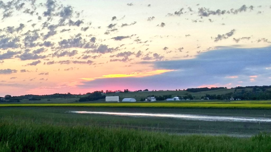 NymphNook's tweet photo. Prairie skies &amp; Puppy eyes,
that's what dreams are made of ✨
#Summer2020 #prairiephotography
#sunsetchaser #malamute https://t.co/QGBpf6SCgq