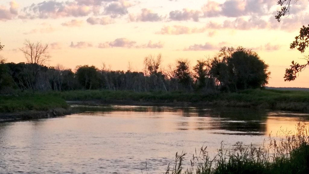 NymphNook's tweet photo. Prairie skies &amp; Puppy eyes,
that's what dreams are made of ✨
#Summer2020 #prairiephotography
#sunsetchaser #malamute https://t.co/QGBpf6SCgq