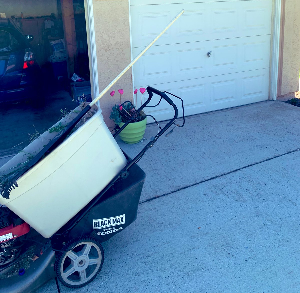 kvlemmon's tweet image. #LawnMowed ✅
#Water 💦
#Waffle 🧇 
#Coffee ☕️ 
#BobDylan 🎼
#ReadaBook 📖 
#Titanfall2 🎮
#CleanHouse 🧽
#Nap 😴