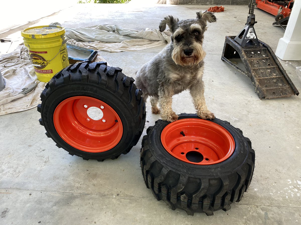 247razz's tweet photo. We got new tires for the from of the kubota tractor today. Tucker approves 👊🐶👍  🚜 https://t.co/ubaqURcjvz