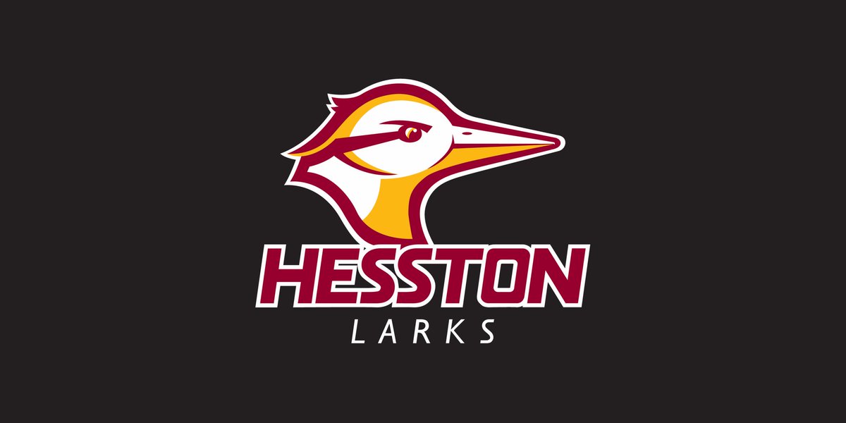 Jamie_womack_'s tweet photo. Excited to join the coaching staff at Hesston College and also serve as an Assistant Residence Director. Excited to get started and get to work! @kolson1989 @HesstonBaseball @GoLarks #GoLarks https://t.co/sONFnh5F6x