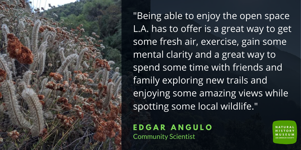 In celebration of #LatinoConservationWeek, we want to feature some Latino/a/x #CommunityScientists who are vital to the success of our programs at @NHMLA. Today we are introducing you to Edgar Angulo, and sharing their thoughts on conservation and community science.
#LCW2020