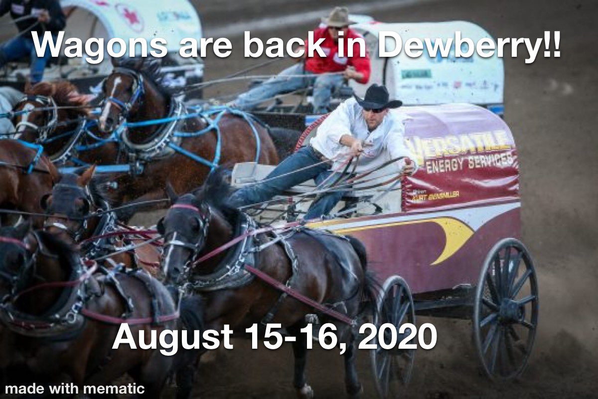 We are proud to announce we will be hosting Chuckwagon races on august 15-16 at the Dewberry race track. All covid guide lines will be followed as per Alberta rules and there will be ample vehicle parking around the race track with limited seating in the grandstands.