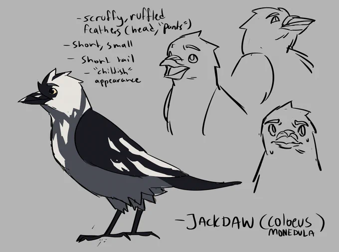 hmm character ideaz for a new thing im thinking about... ive just been very inspired by corvids in particular because they show so much character when theyre just out doing their thing... they also have very interesting social behaviours etc so... 