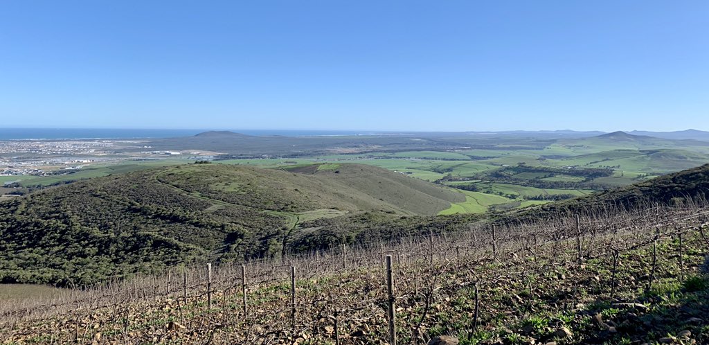 MTBPlusSA's tweet photo. Spectacular views from the @TygerbergMTB trails in Durbanville @HillcrestFarm @CannondaleZA @SkratchLabs @PureMotionSport @GecoCycles https://t.co/e7wupO49fE