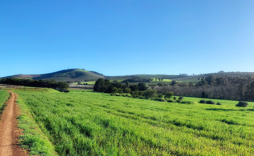 MTBPlusSA's tweet photo. The @TygerbergMTB trails offers something for everyone @dariawinery @CannondaleZA @SkratchLabs @PureMotionSport @GecoCycles https://t.co/Ezb74Pfi17
