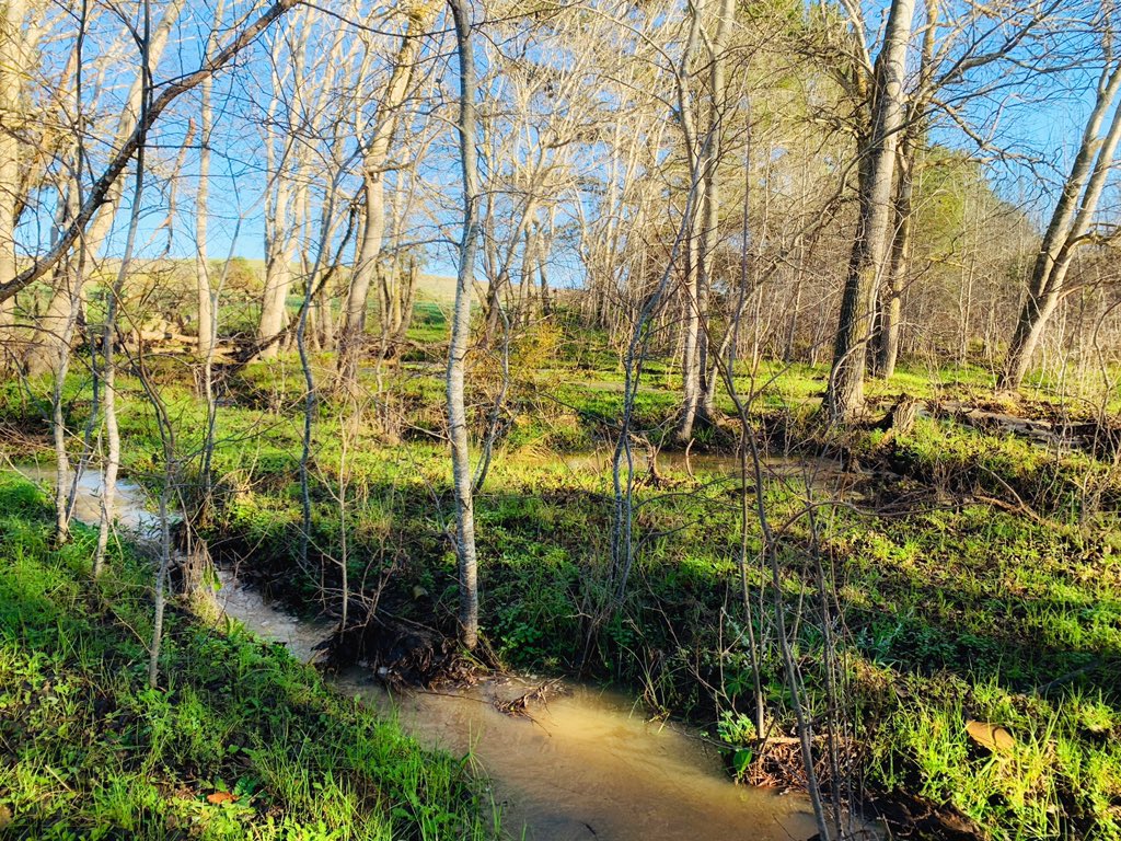 MTBPlusSA's tweet photo. The @TygerbergMTB trails offers something for everyone @dariawinery @CannondaleZA @SkratchLabs @PureMotionSport @GecoCycles https://t.co/Ezb74Pfi17
