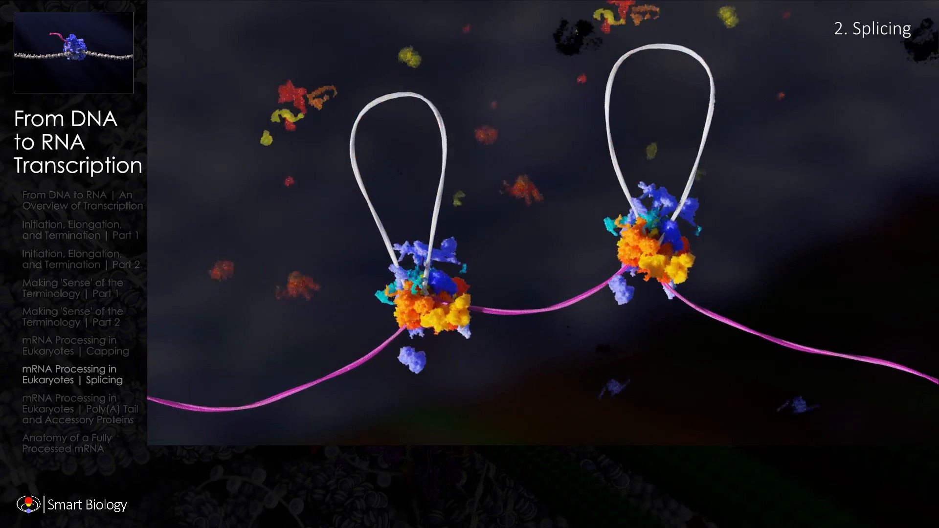 Smart Biology on Twitter: Smart Biology on Twitter: