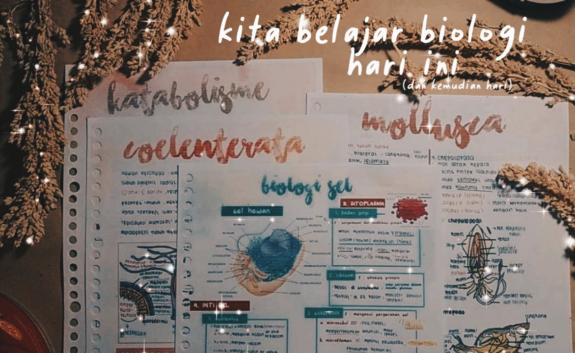 narspacee's tweet photo. Biology UTBK recap (printable version) will be posted soon https://t.co/gmQtUjlpYs