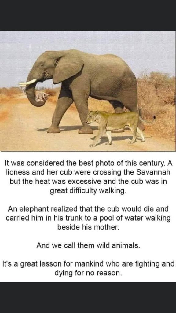 Aisha Aliyu Maina (@aishaaliyu) on Twitter photo 