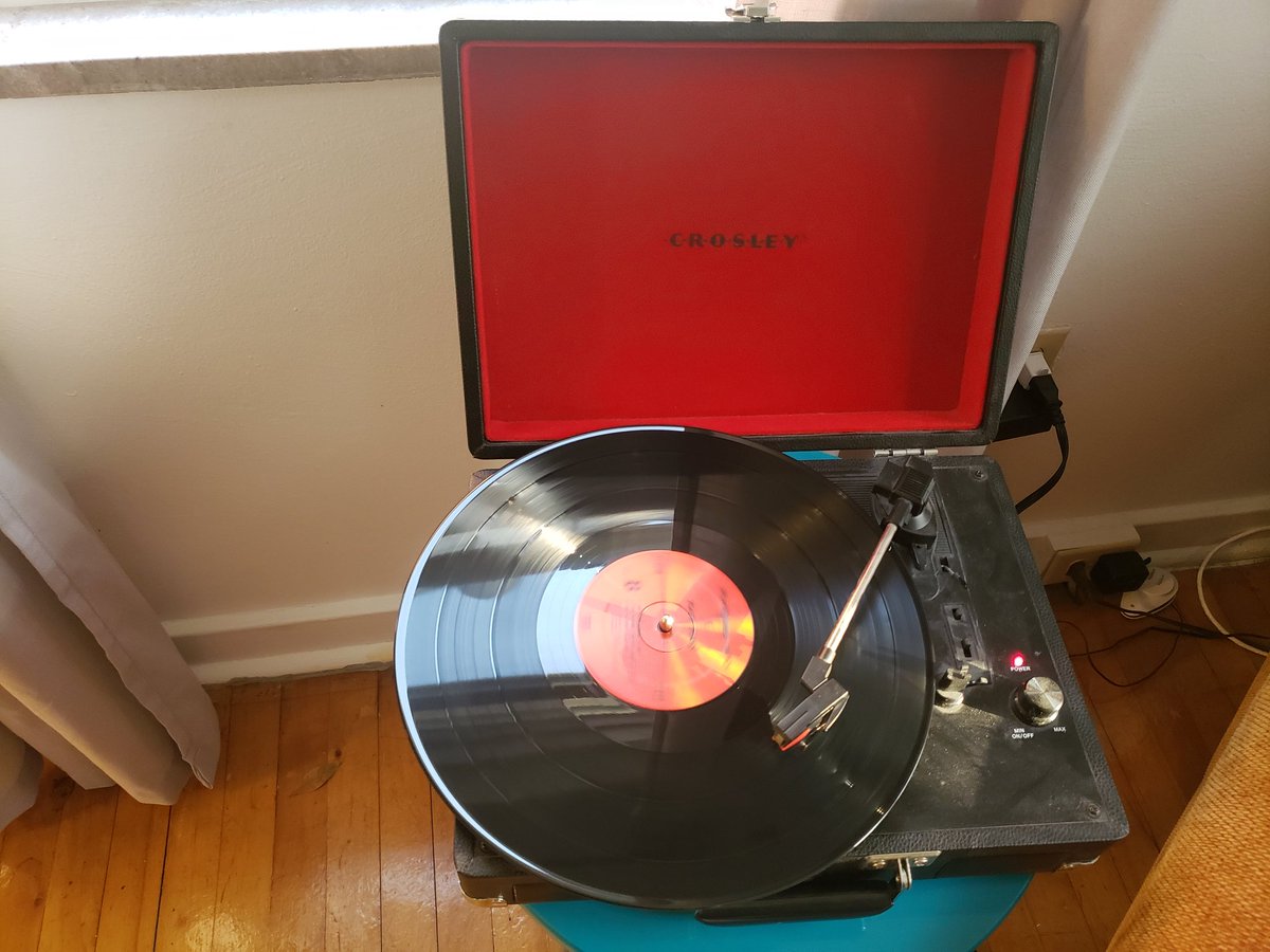 NotCryptoKnight's tweet image. Wild