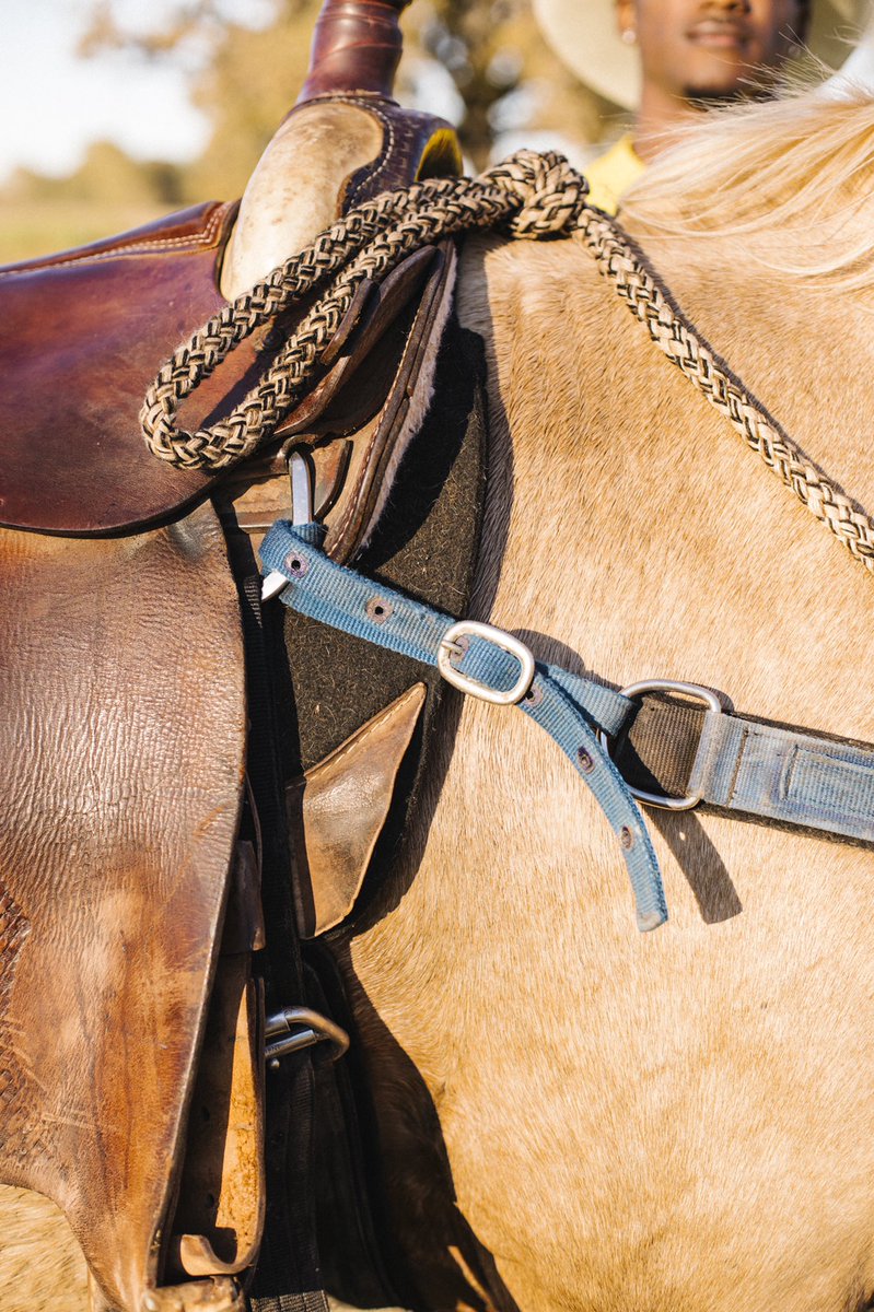 Do y’all want me to liveshare BTS from this episode while it’s on tonight?  #UnitedShades American farms debuts at 10 pm EST tonight on  @CNN.