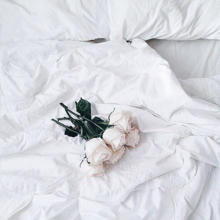 kindcfmagic's tweet image. ❛Una mujer desnuda y en lo oscuro, es una vocación para las manos, para los labios es casi un destino, y para el corazón un despilfarro. Una mujer desnuda es un enigma y siempre es una fiesta descifrarlo.❜

Camille Lewis. —au!secretaria.