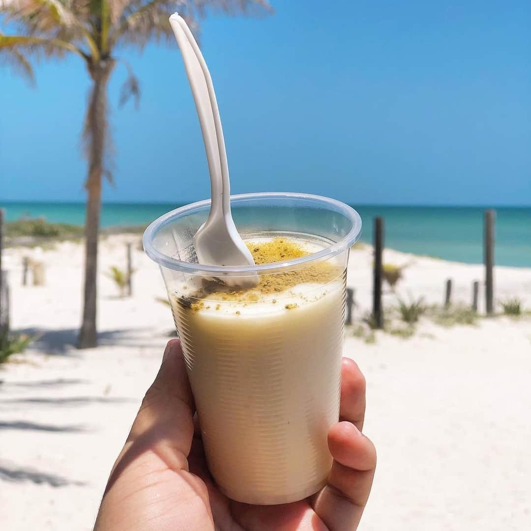 Marianabaenove's tweet photo. En esta cuenta amamos la cremita de coco ✨🥥
#Yucatan #cremitadecoco #Coco https://t.co/AKi6JsAMdw