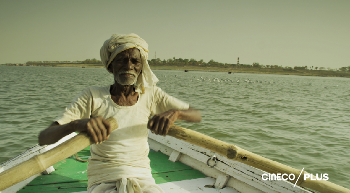 cineCOLocal's tweet photo. #ElDato ¿Sabías que en India se encuentra el manglar continuo más grande del planeta? El único que alberga una población de tigre de Bengala adaptada a las condiciones de manglar.
Hoy, #DiaMundialDelManglar, descubre ´GANGES´ por CINECO/PLUS y conoce más de este ecosistema. https://t.co/gtraBFSi6k