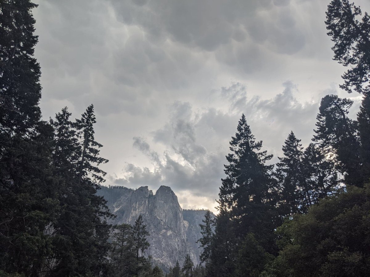 Sometimes a stormy afternoon is just what we need. 

#Yosemite #NationalPark